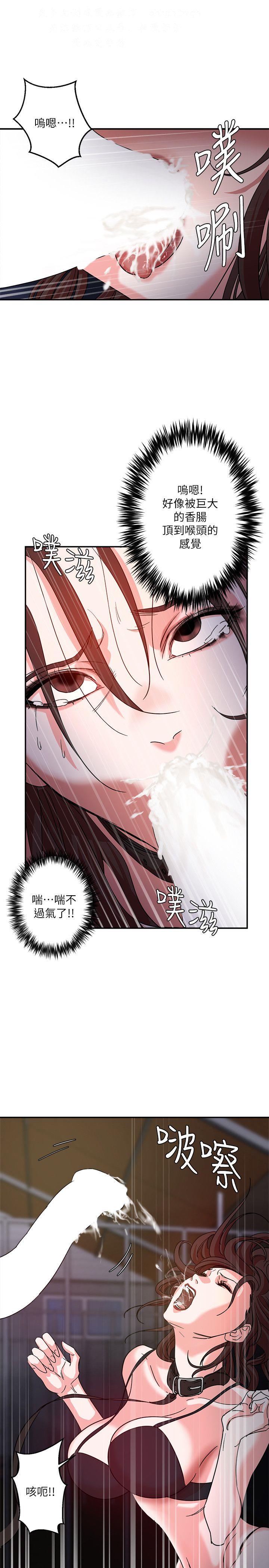 母豬養成計畫
