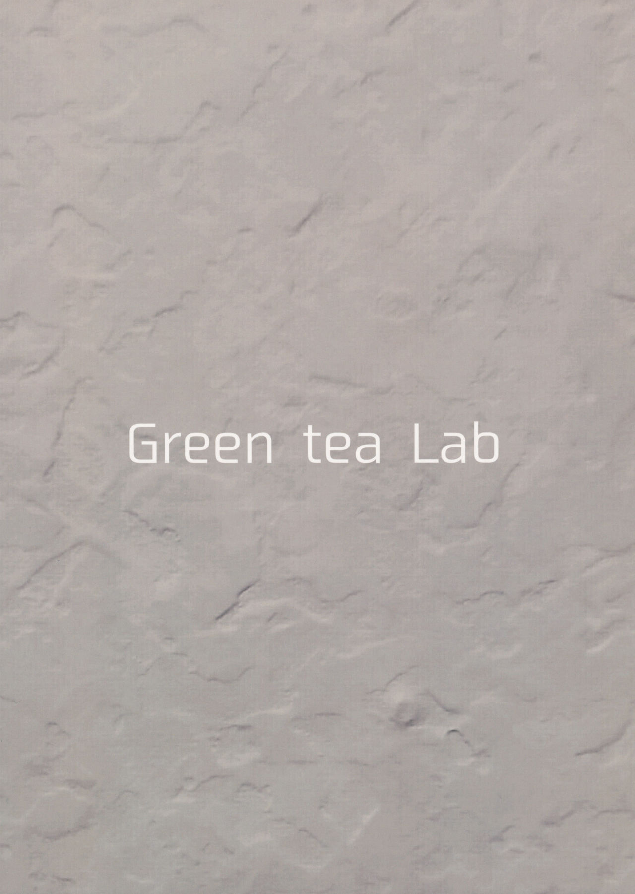 (例大祭15) [Green tea Lab (midarin)] 文ちゃんの内緒の密着取材 (東方Project)