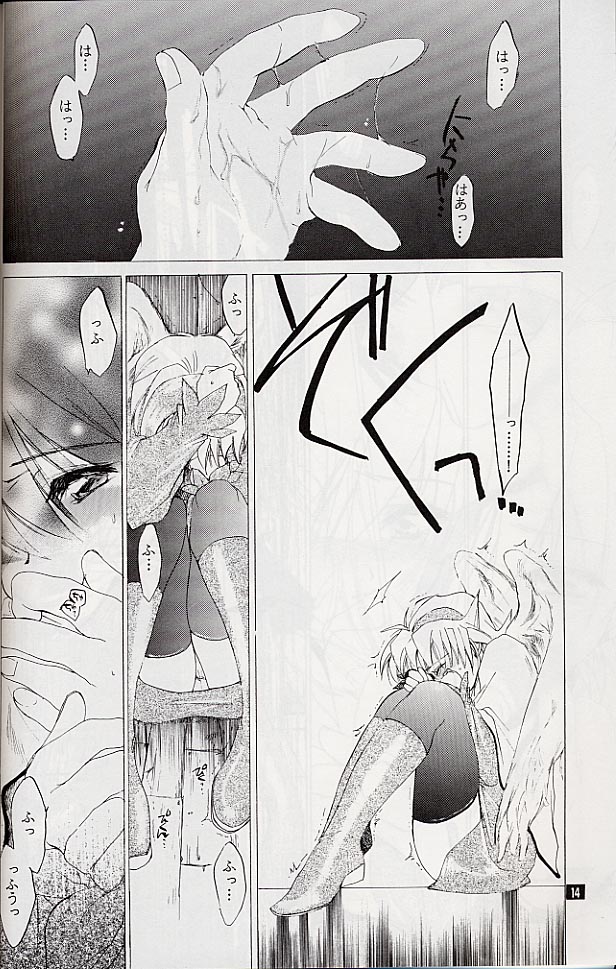 (C58) [床子屋 (鬼頭えん)] 我は冥し、されど麗し (ブレス オブ ファイアIV)