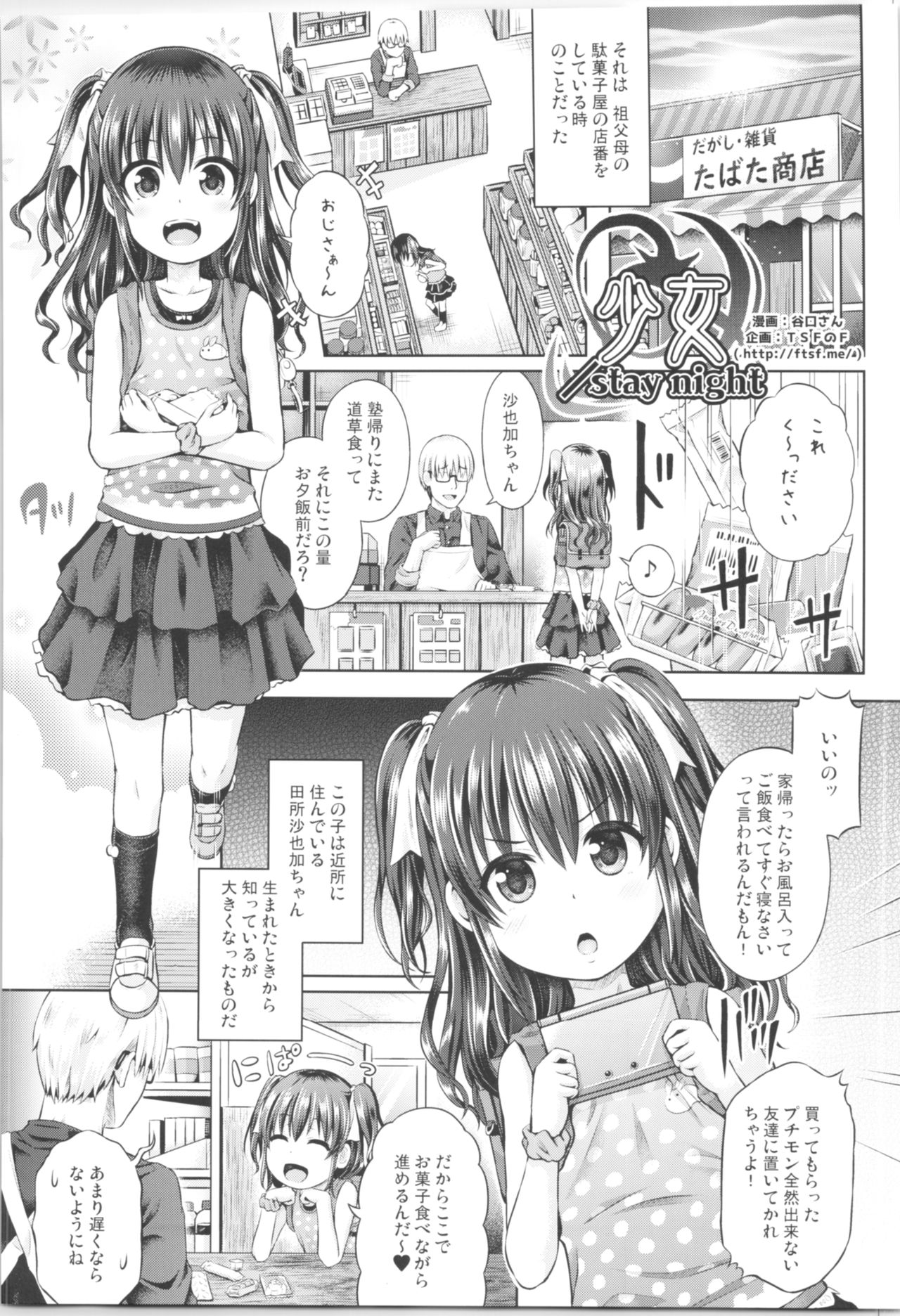 (C95) [TSFのF (よろず)] TSFのFのほん その5