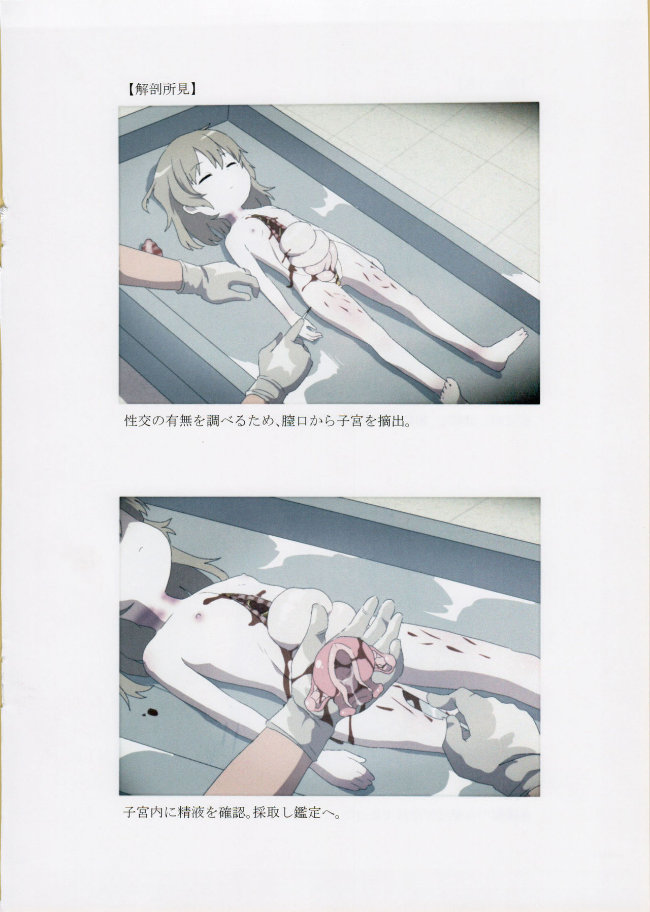 (C95) [02 (原崎)] 西荻窪少女殺害事件司法解剖記録 (鳩羽つぐ)