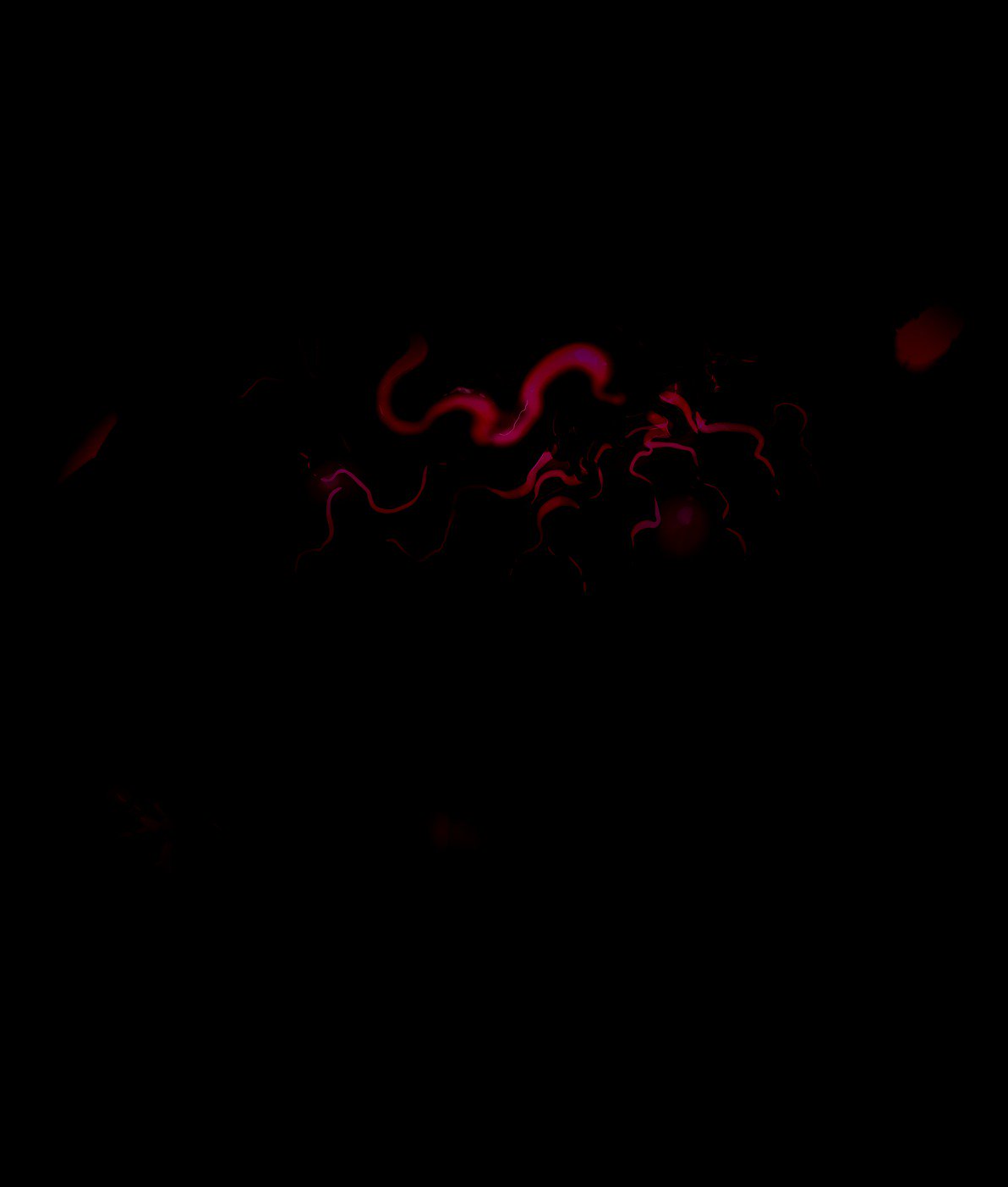 ふたなりプリネクスとふたなり騎士マラ-生まれ変わった