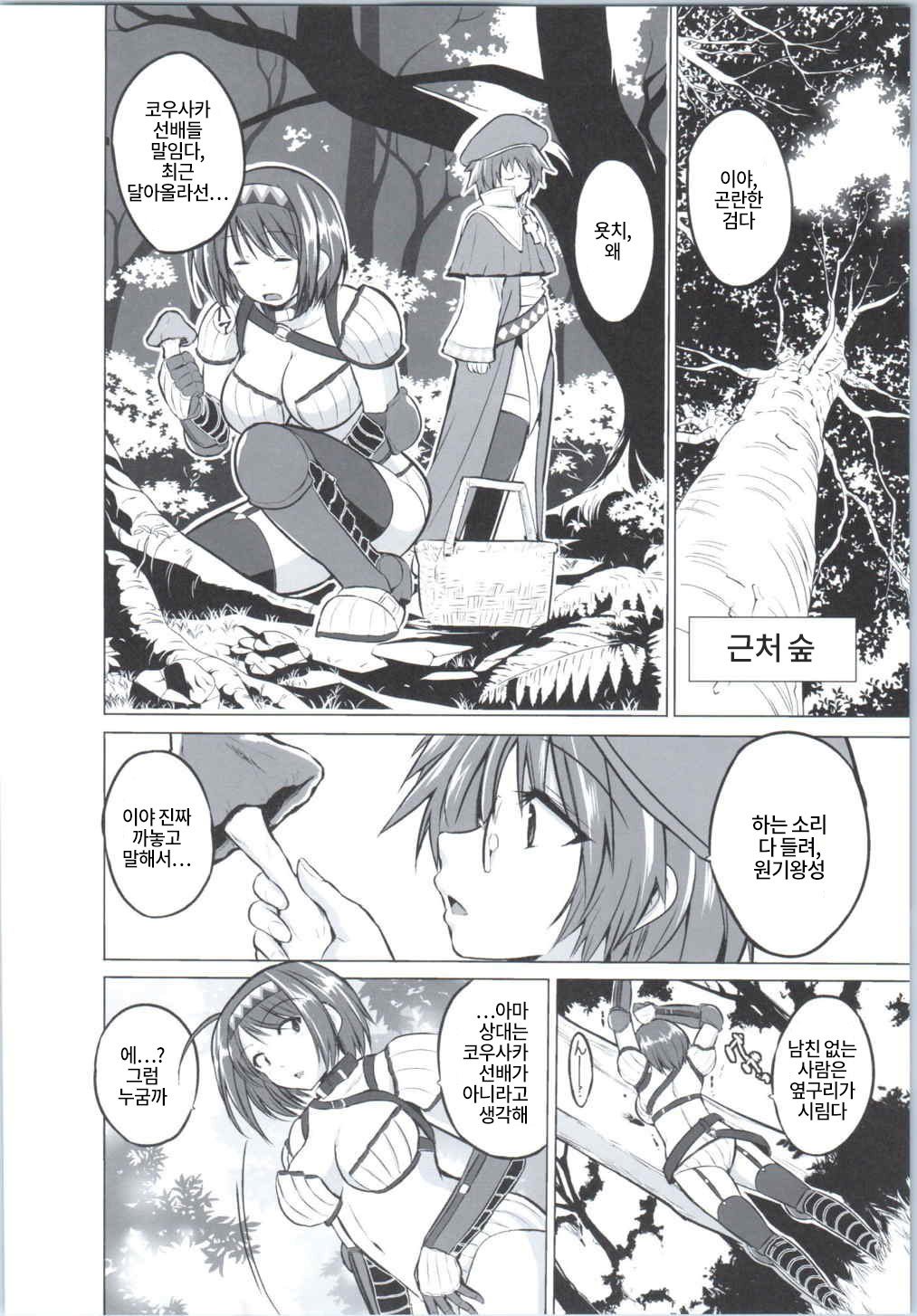 ダンジョントラベラーズ-ちえのひめゴト