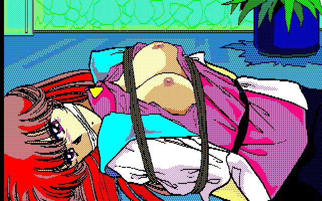 アニパロメニョウCGデータシュウディスクノアv2v3 アニパロメニョウCGデータシュウディスクノアv2v3