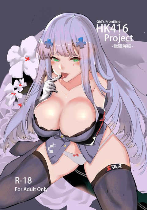 HK416プロジェクト HK416プロジェクト
