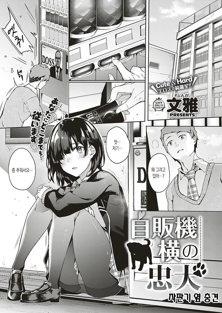 じはんきよこのちゅうけん| 자판기옆충견 じはんきよこのちゅうけん| 자판기옆충견