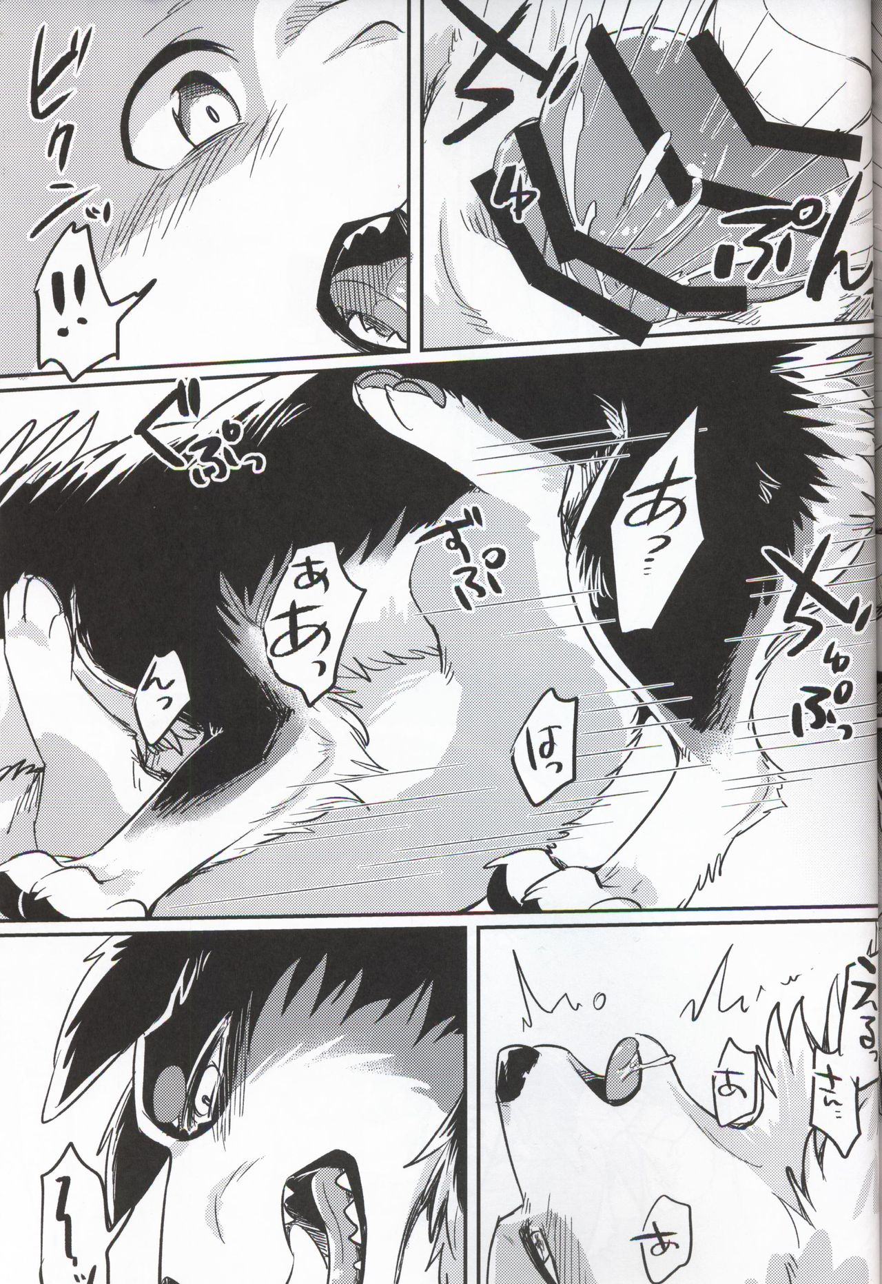 (関西!けもケット7) [回転ParaDOGs (奈賀つくね)] 嘘つきたちの『 』 [中国翻訳]