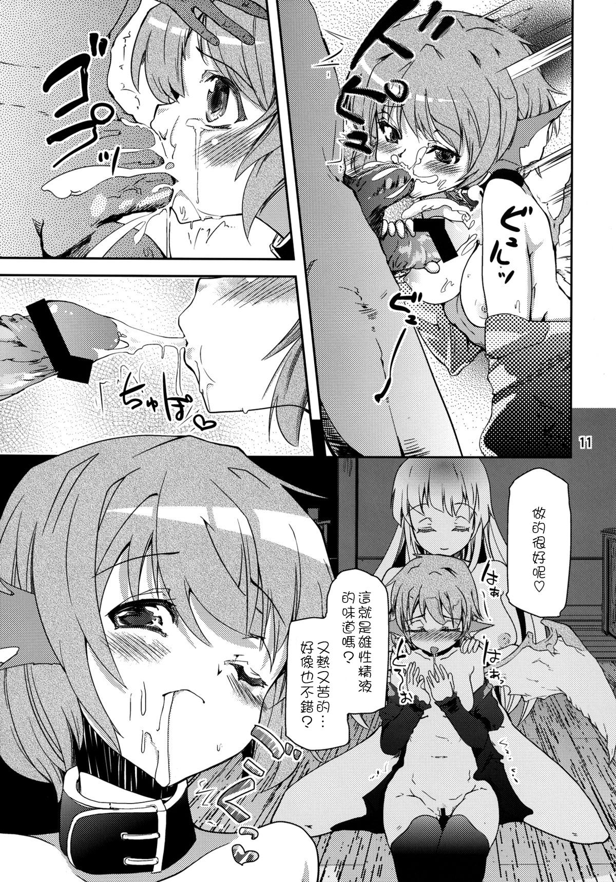 (C82) [山賊の唄 (宝あきひと)] 鳥獣せっくす! (東方Project) [中国翻訳]