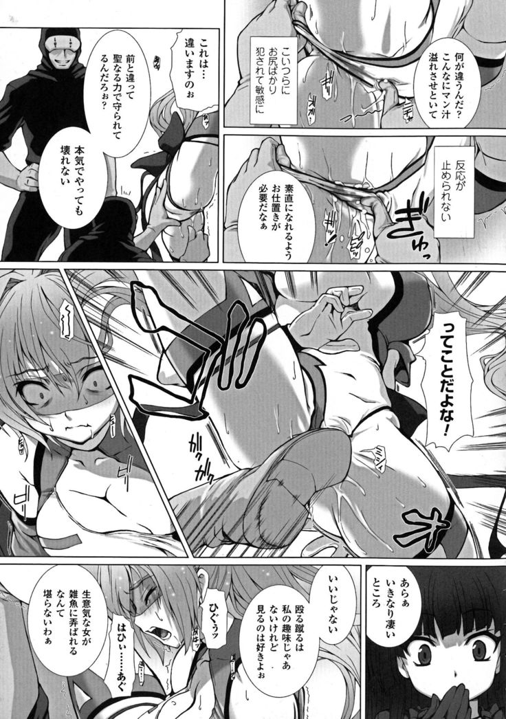聖霊のヒロインカンゴクファイルDXvol。 6