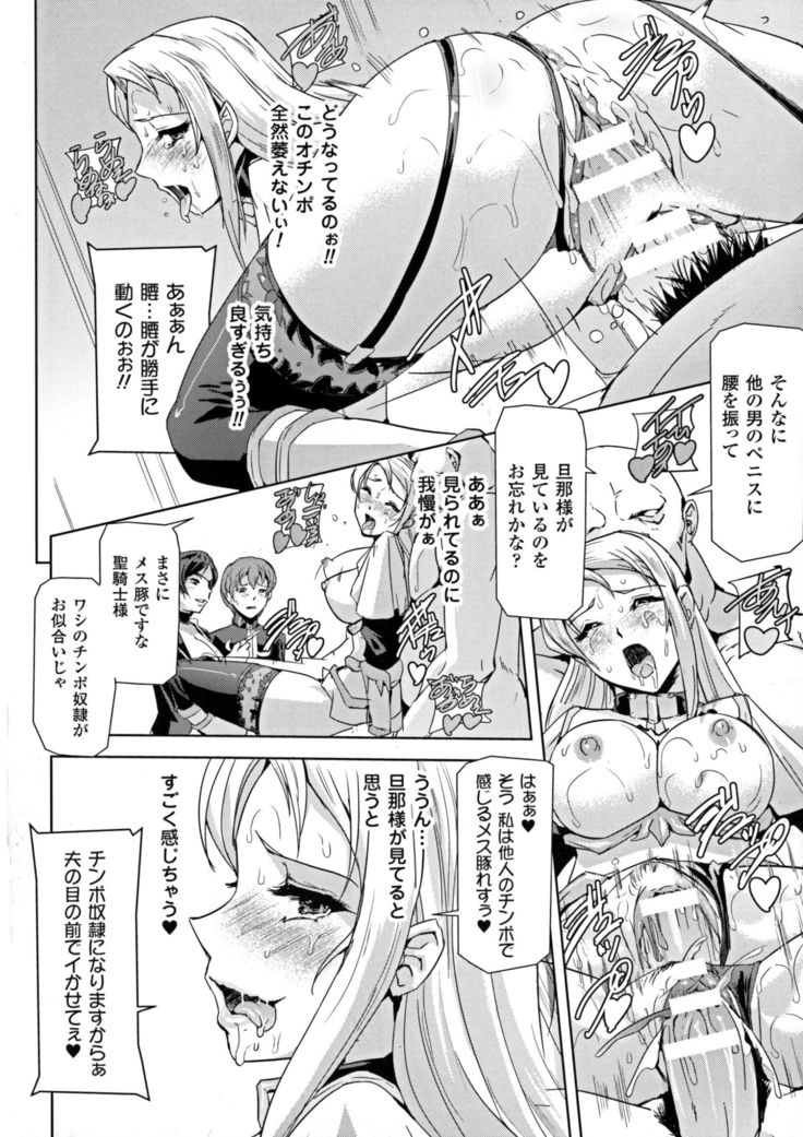 聖霊のヒロインカンゴクファイルDXvol。 6