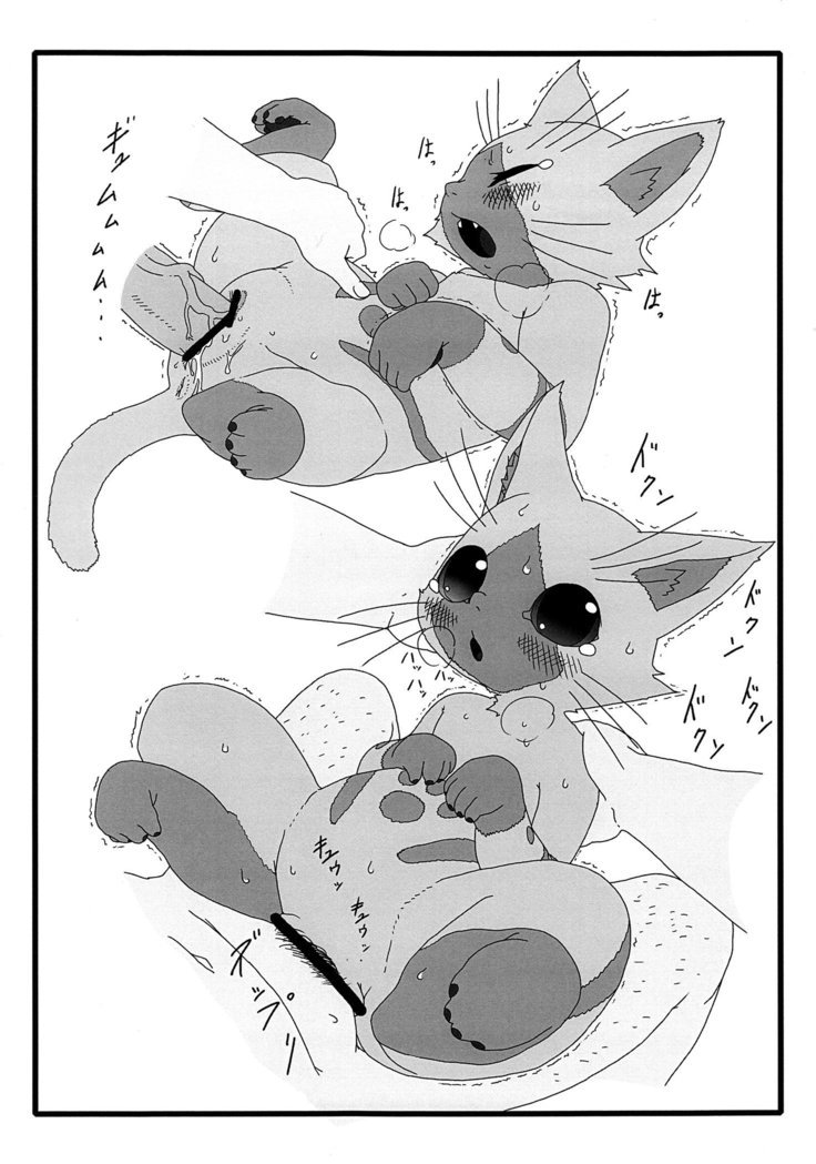 夜の乙女にあいろうを。 夜の乙女にあいろうを。