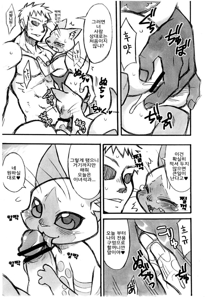 夜の乙女にあいろうを。 夜の乙女にあいろうを。