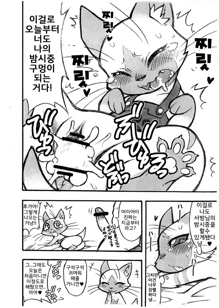 夜の乙女にあいろうを。 夜の乙女にあいろうを。