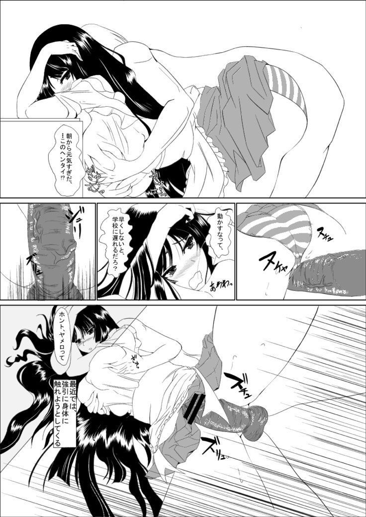 昨日の本編です 昨日の本編です