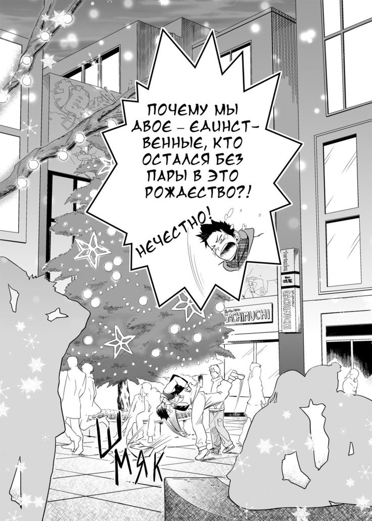 セイナル夜に
