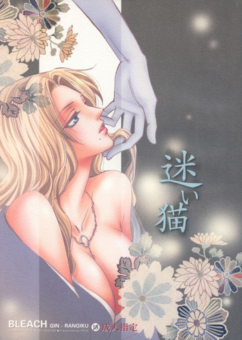 (C73) [ぷりんちょ。 (ぷりん)] 迷い猫 (ブリーチ) [英訳]