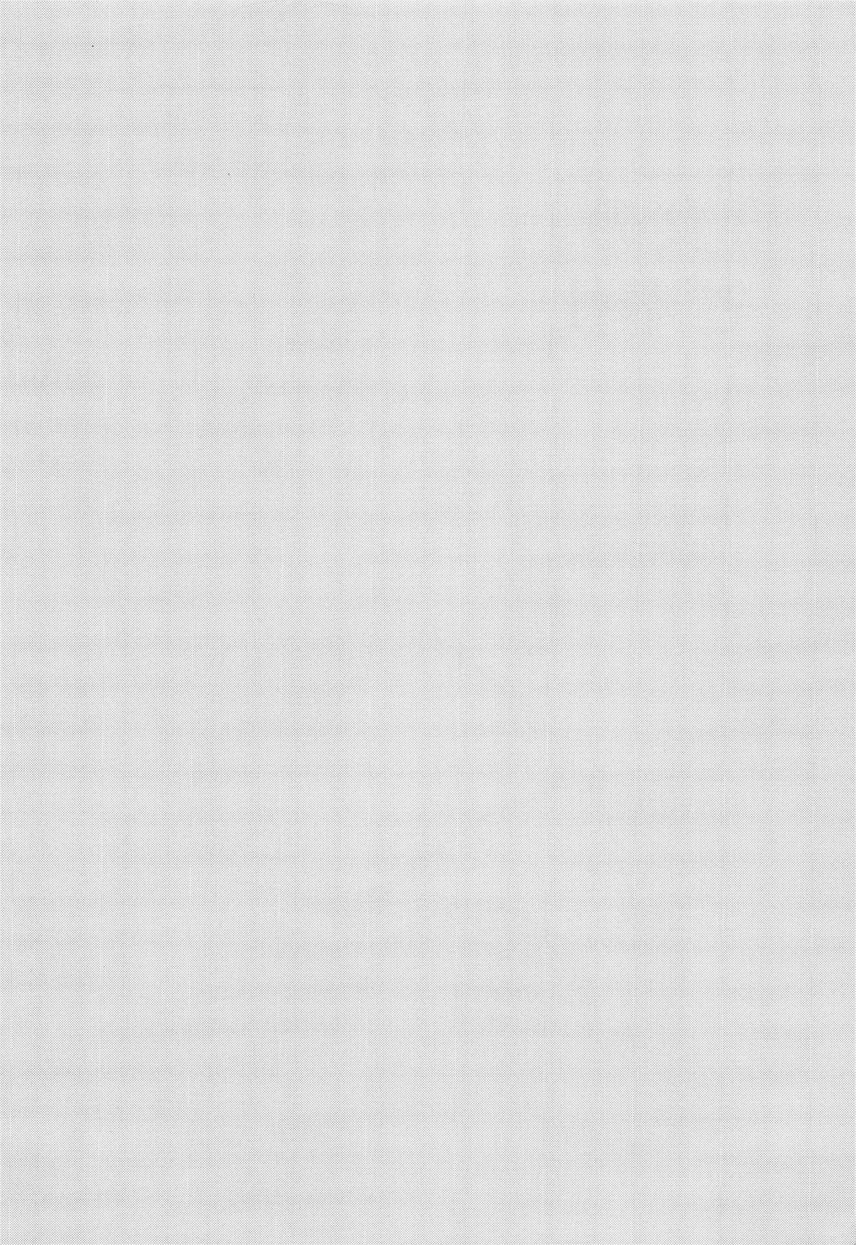 (C95) [やまぐちぷりんと (珠樹やよい)] 聖女のご奉仕 (Fate Grand Order) [中国翻訳]