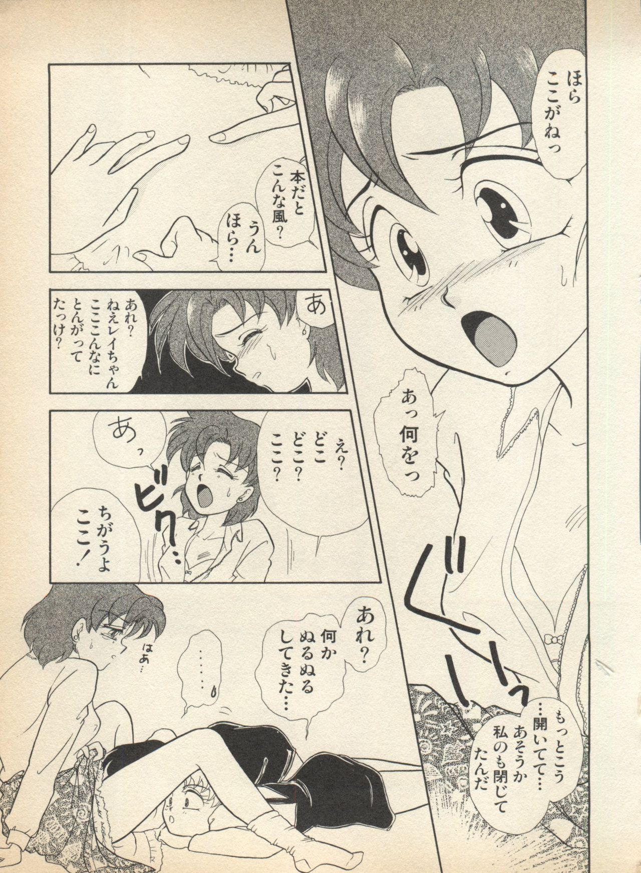 [アンソロジー] ルナティックパーティー (美少女戦士セーラームーン)