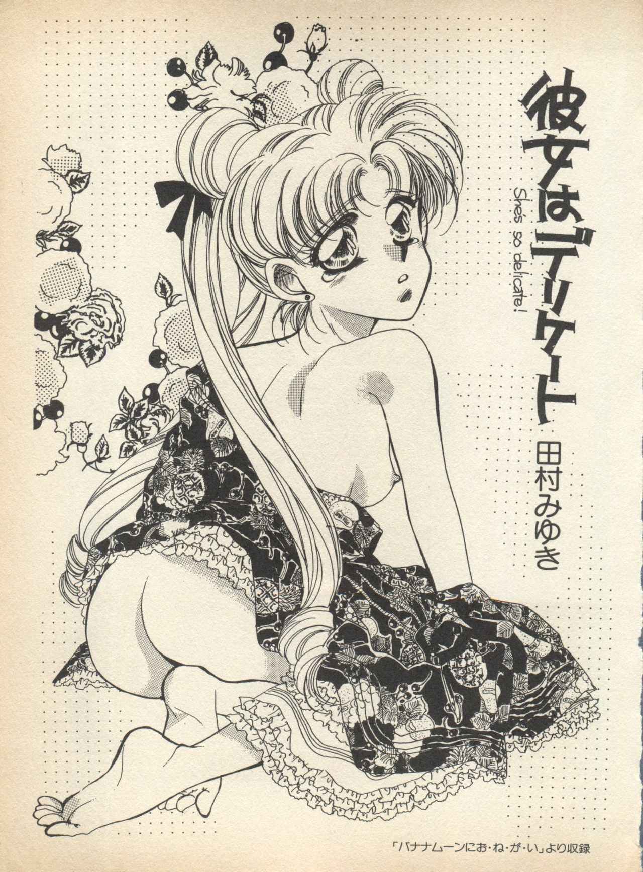 [アンソロジー] ルナティックパーティー (美少女戦士セーラームーン)