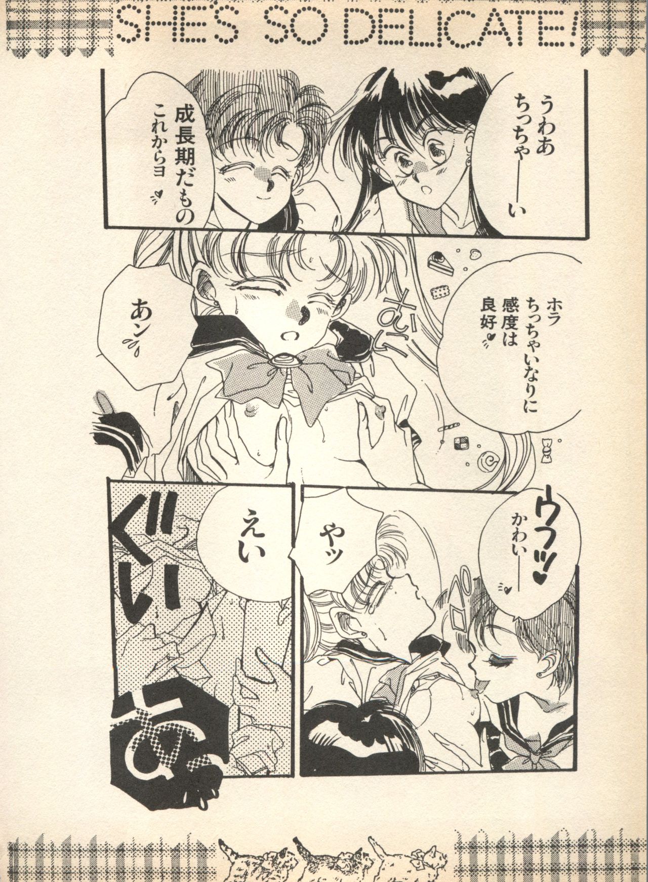 [アンソロジー] ルナティックパーティー (美少女戦士セーラームーン)