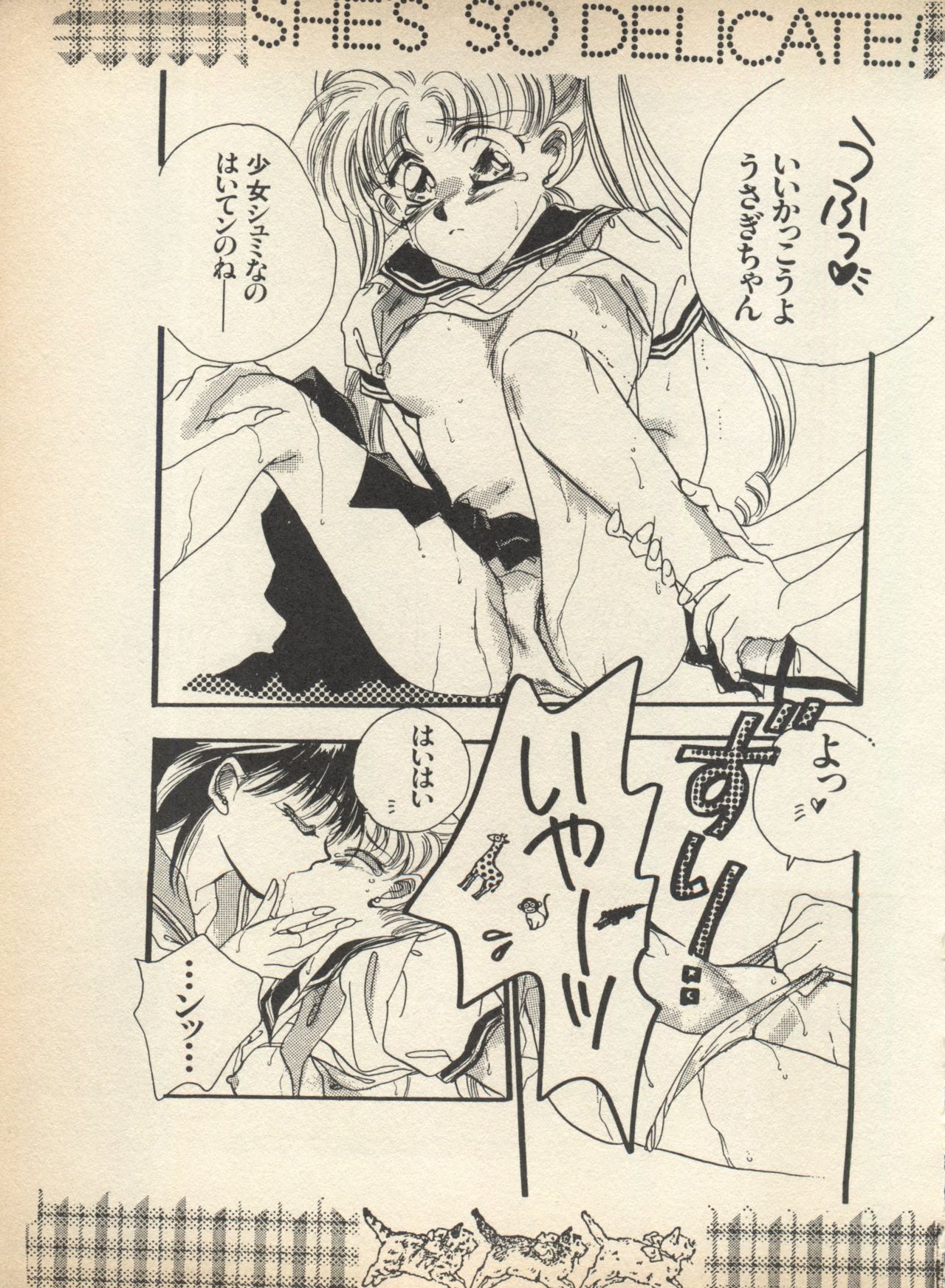 [アンソロジー] ルナティックパーティー (美少女戦士セーラームーン)