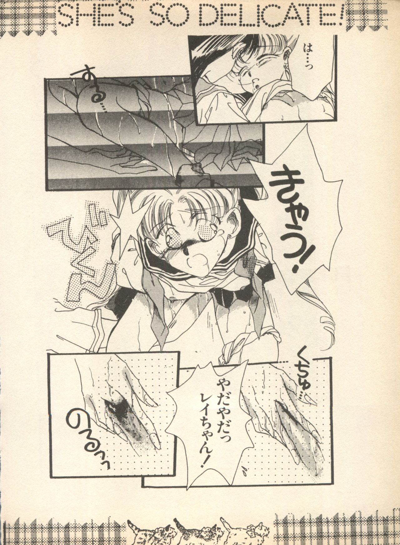 [アンソロジー] ルナティックパーティー (美少女戦士セーラームーン)