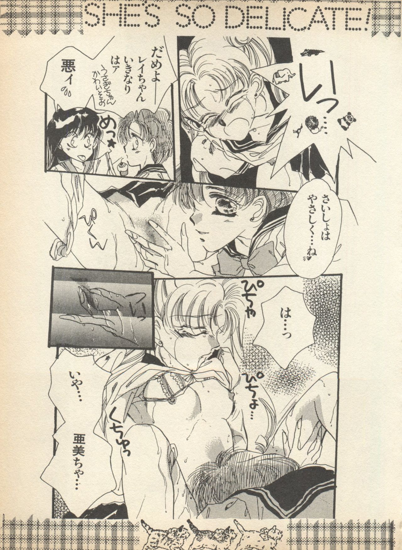 [アンソロジー] ルナティックパーティー (美少女戦士セーラームーン)