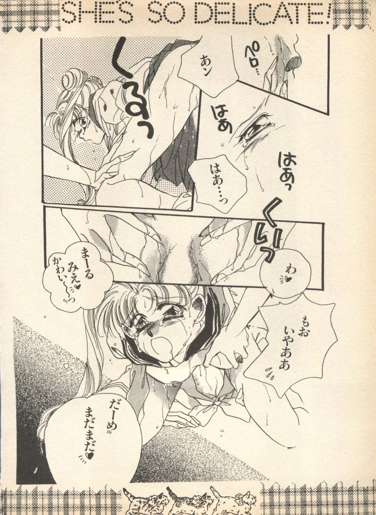 [アンソロジー] ルナティックパーティー (美少女戦士セーラームーン)