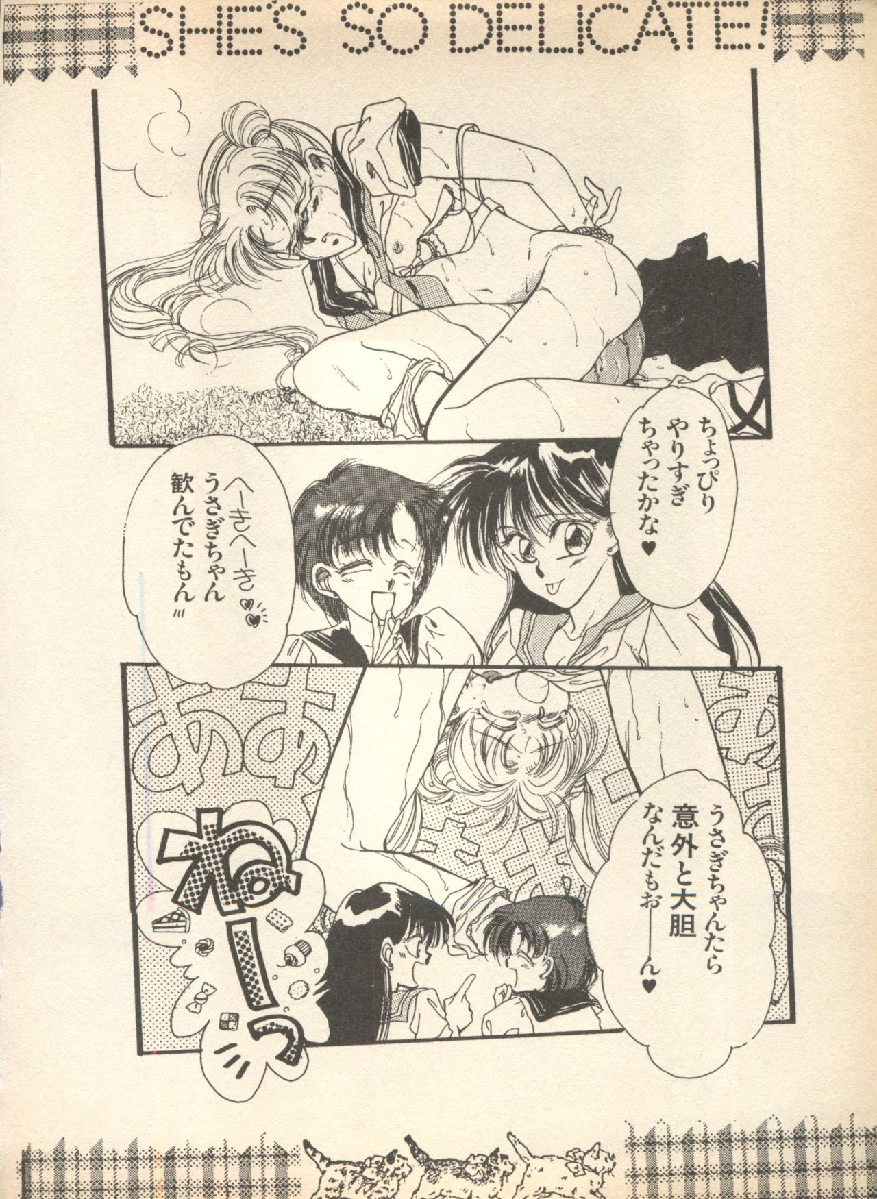 [アンソロジー] ルナティックパーティー (美少女戦士セーラームーン)