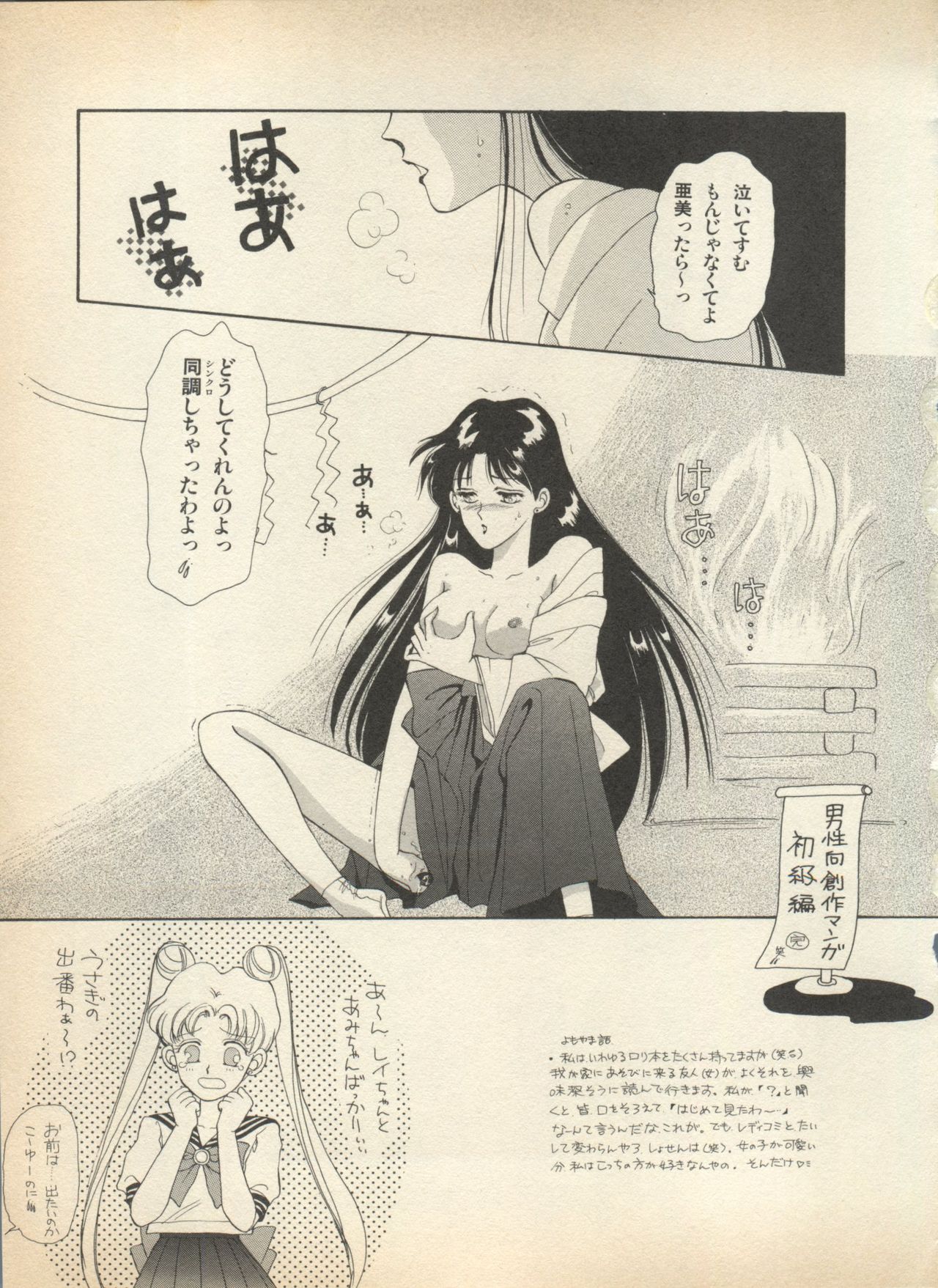 [アンソロジー] ルナティックパーティー (美少女戦士セーラームーン)