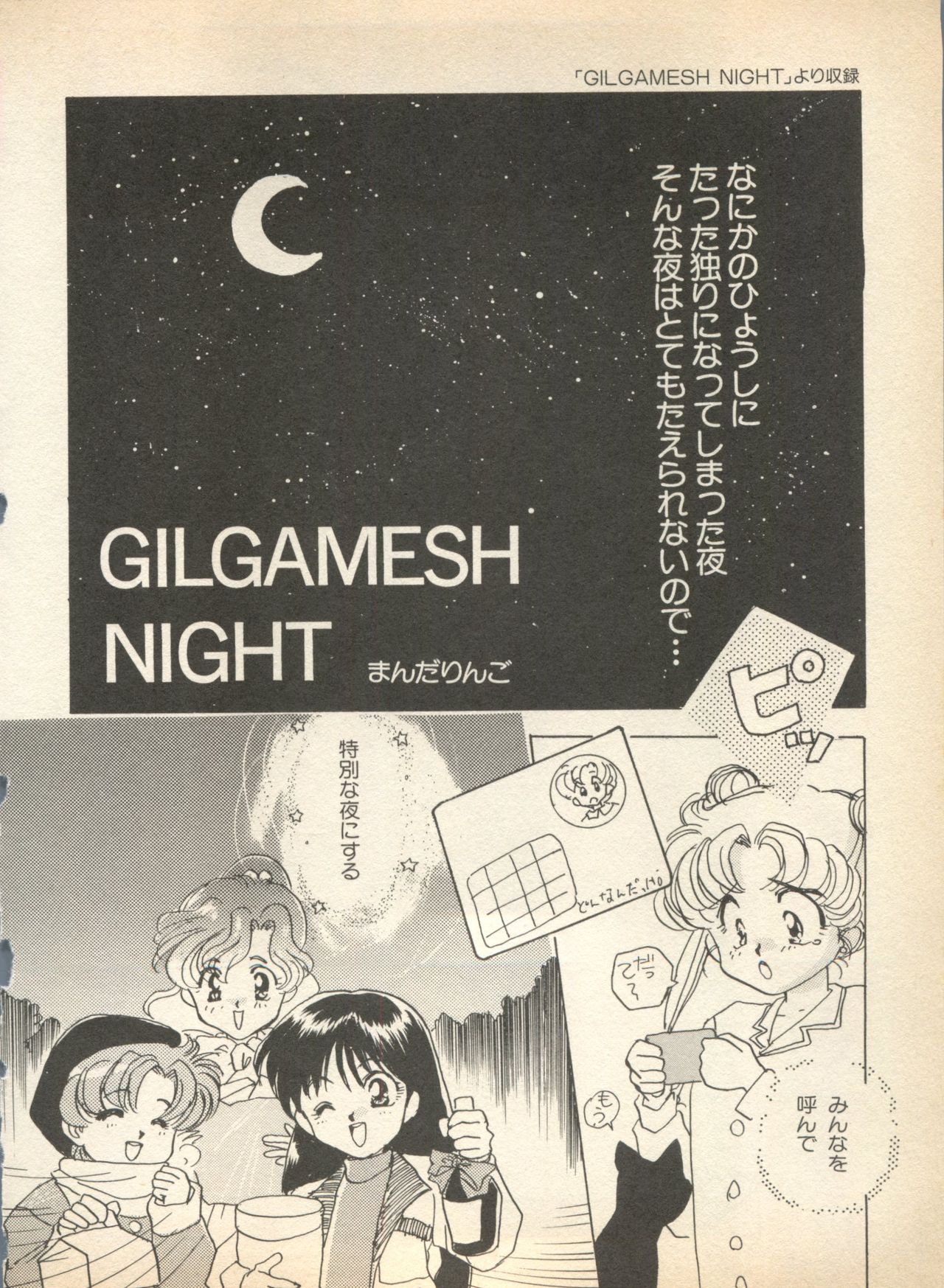 [アンソロジー] ルナティックパーティー (美少女戦士セーラームーン)