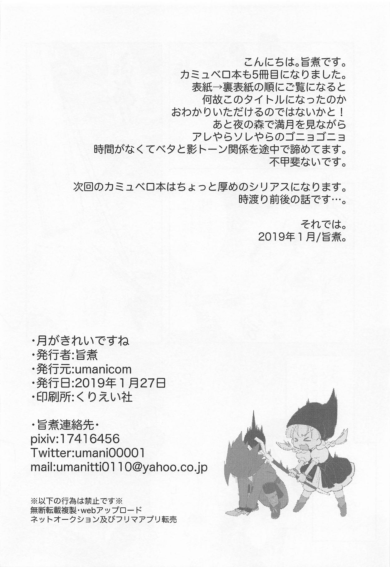 (TWINKLE MIRAGE 10) [umanicom (旨煮)] 月がきれいですね (ドラゴンクエストXI)