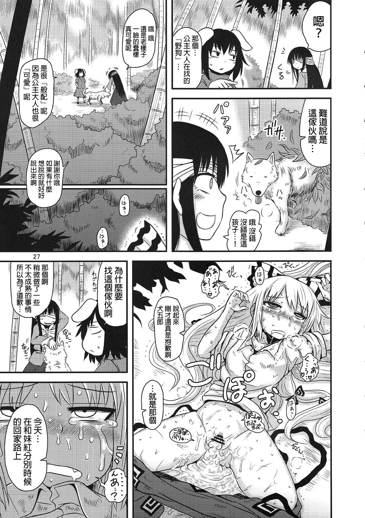 (例大祭9) [川豚毒 (加藤フグオ)] するだけ参。 (東方Project) [中国翻訳]