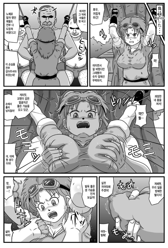 その母と娘が泥棒ギャングの性交人形だったら