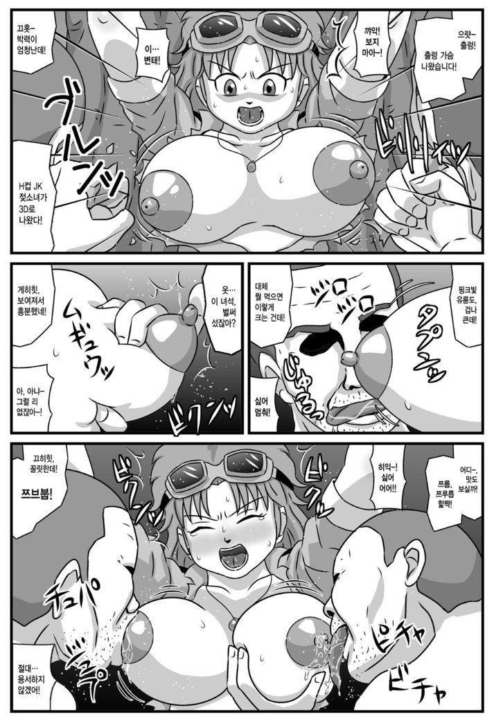 その母と娘が泥棒ギャングの性交人形だったら