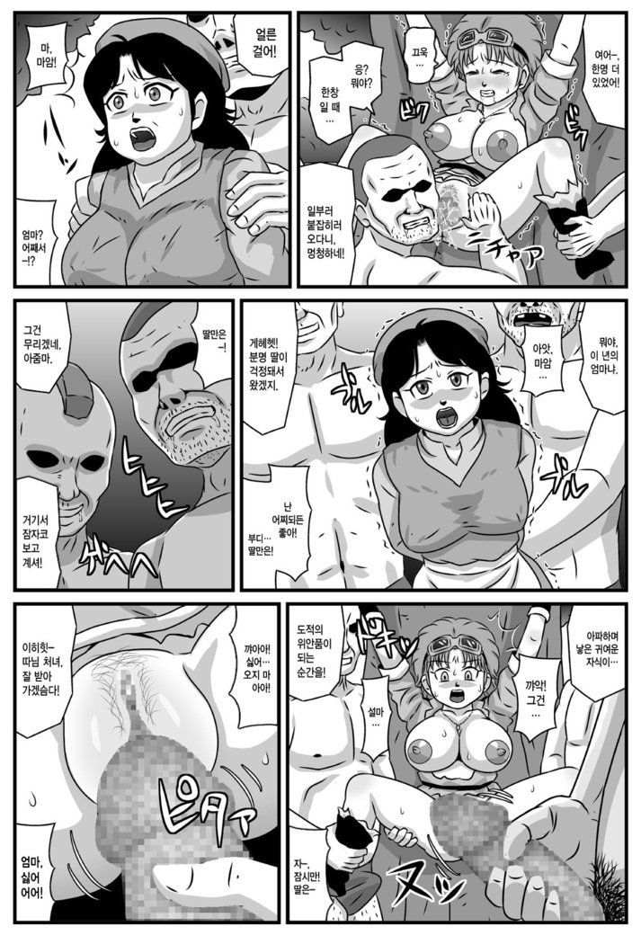 その母と娘が泥棒ギャングの性交人形だったら