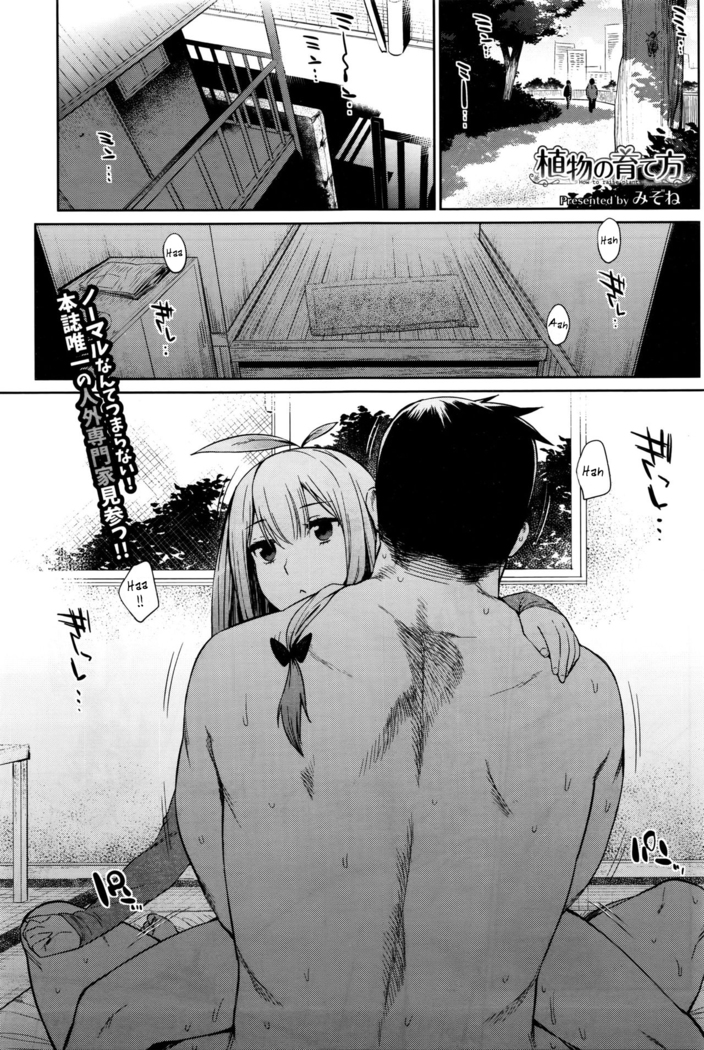 食器のそだてかた| Cómocriarunaplanta 食器のそだてかた| Cómocriarunaplanta