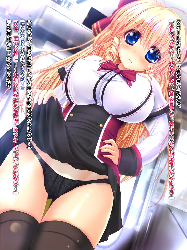 僕の彼女がマックニシボラレタ