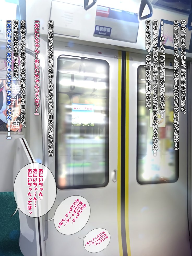 僕の彼女がマックニシボラレタ