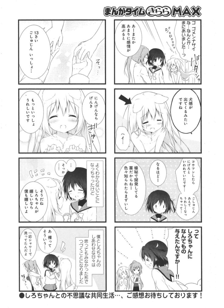 しろいぬシンドローム しろいぬシンドローム