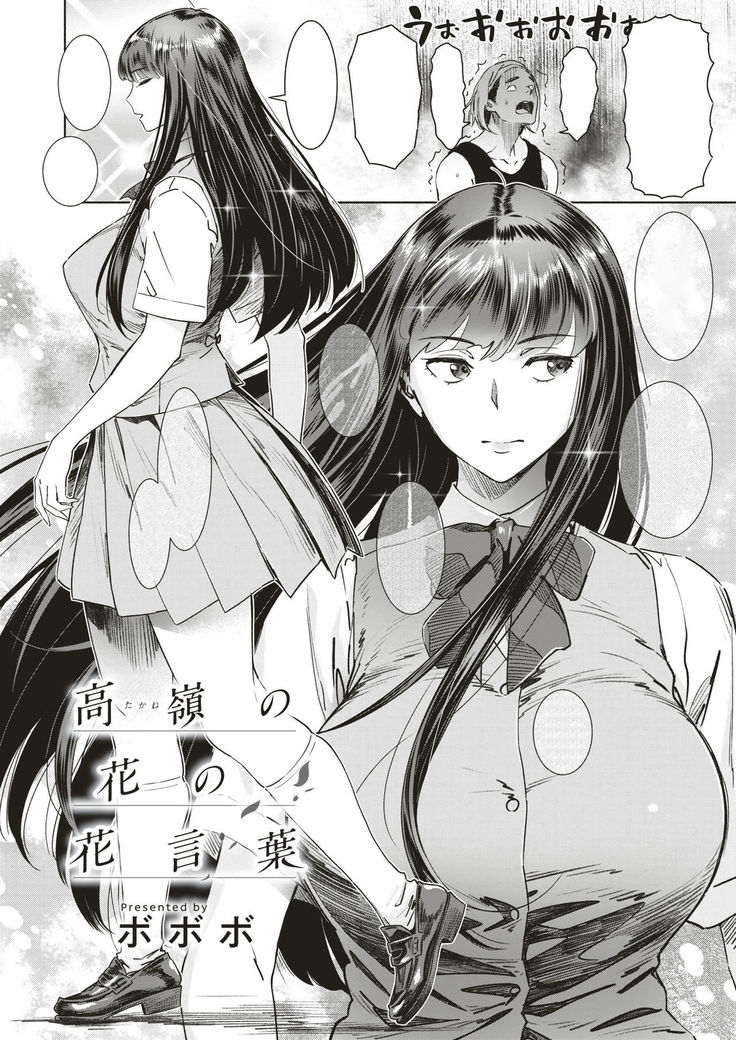 高根の花言葉花言葉|高岭之花的花语 高根の花言葉花言葉|高岭之花的花语