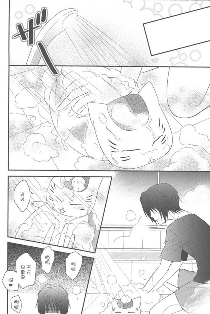 なつめんちのよったぶさねこひろったけど...