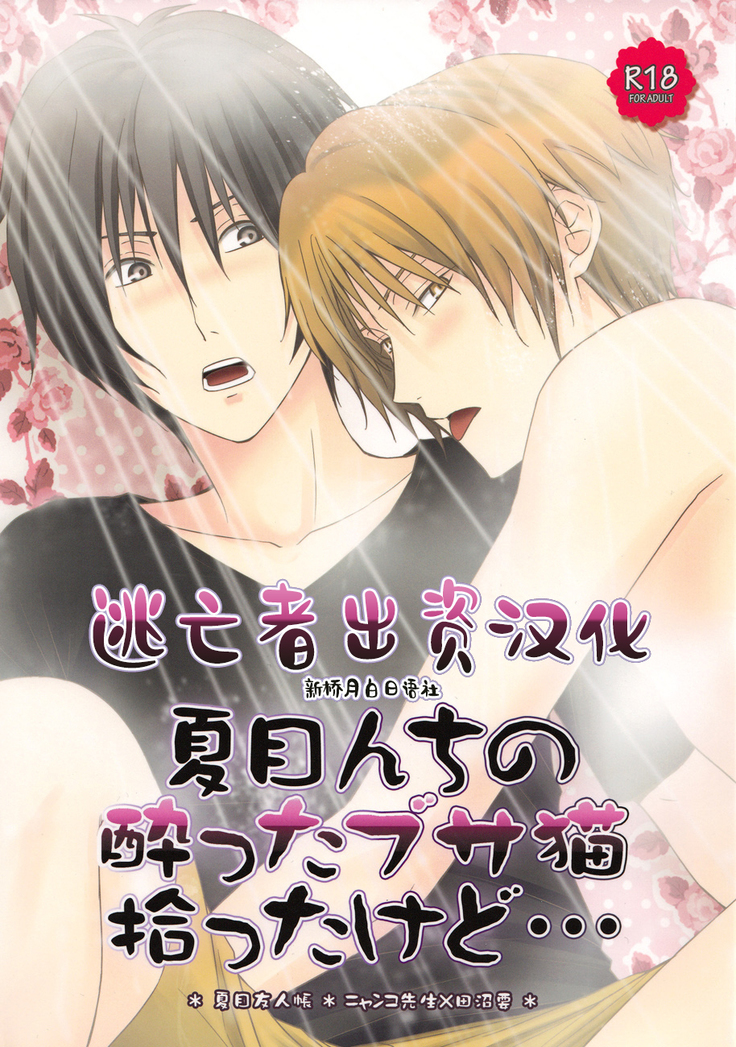 なつめんちのよったぶさねこひろったけど... なつめんちのよったぶさねこひろったけど...