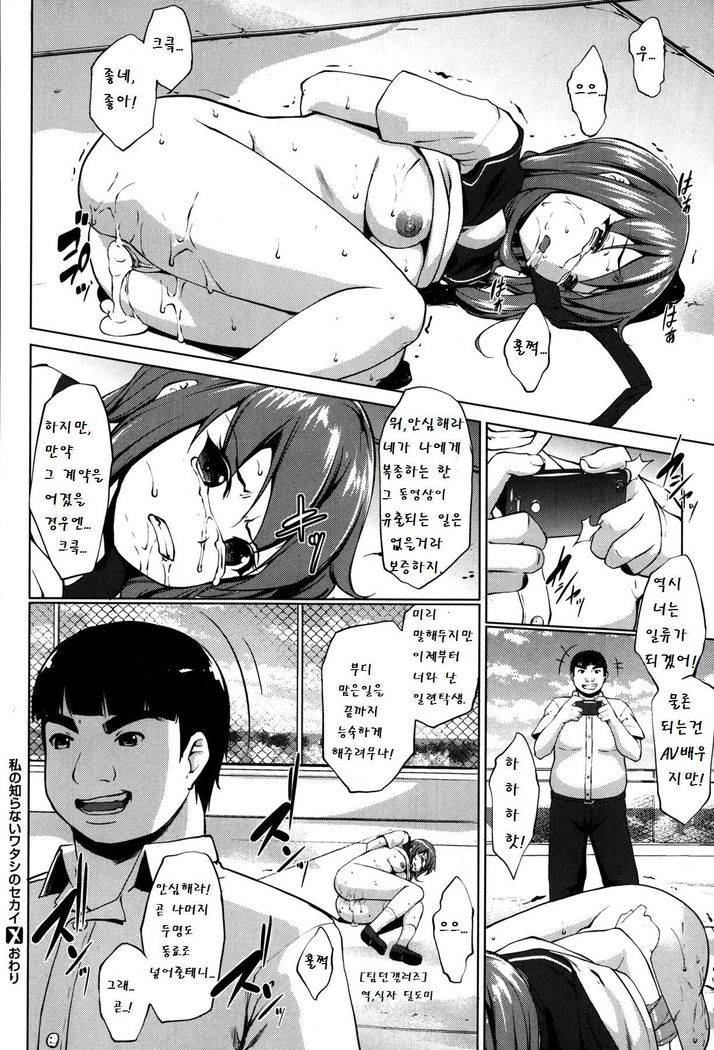 ワタシの白内ワタシの世界