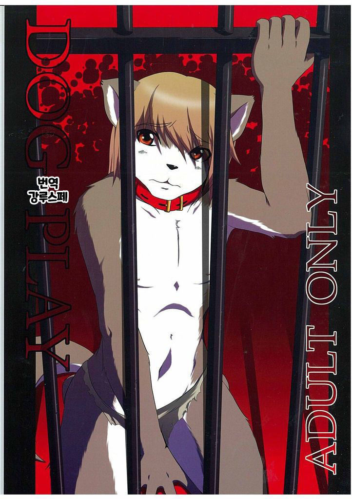 犬の遊び 犬の遊び