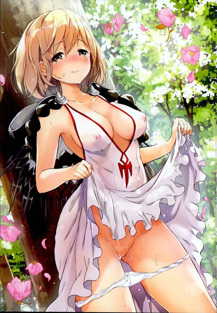 ジータちゃんのレナイバトルなひびそうしゅへん