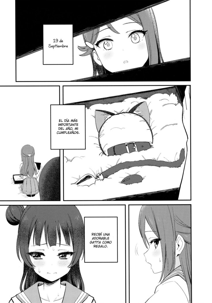 よはねこちょうきょう日記| Diario de Entrenamiento Yohaneko
