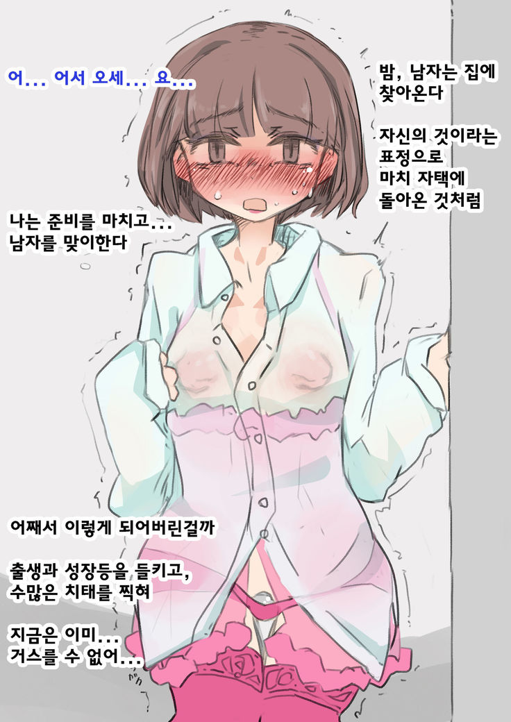 女性化トレーニングの夜여성화조교의밤 女性化トレーニングの夜여성화조교의밤
