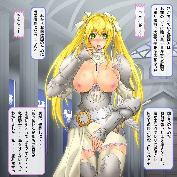 奥国西京の姫岸は国を守ためにこずくりする