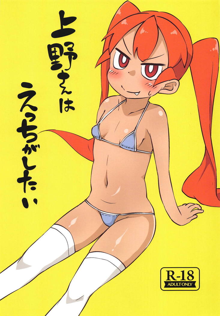上野さんは不器用なしたい 上野さんは不器用なしたい